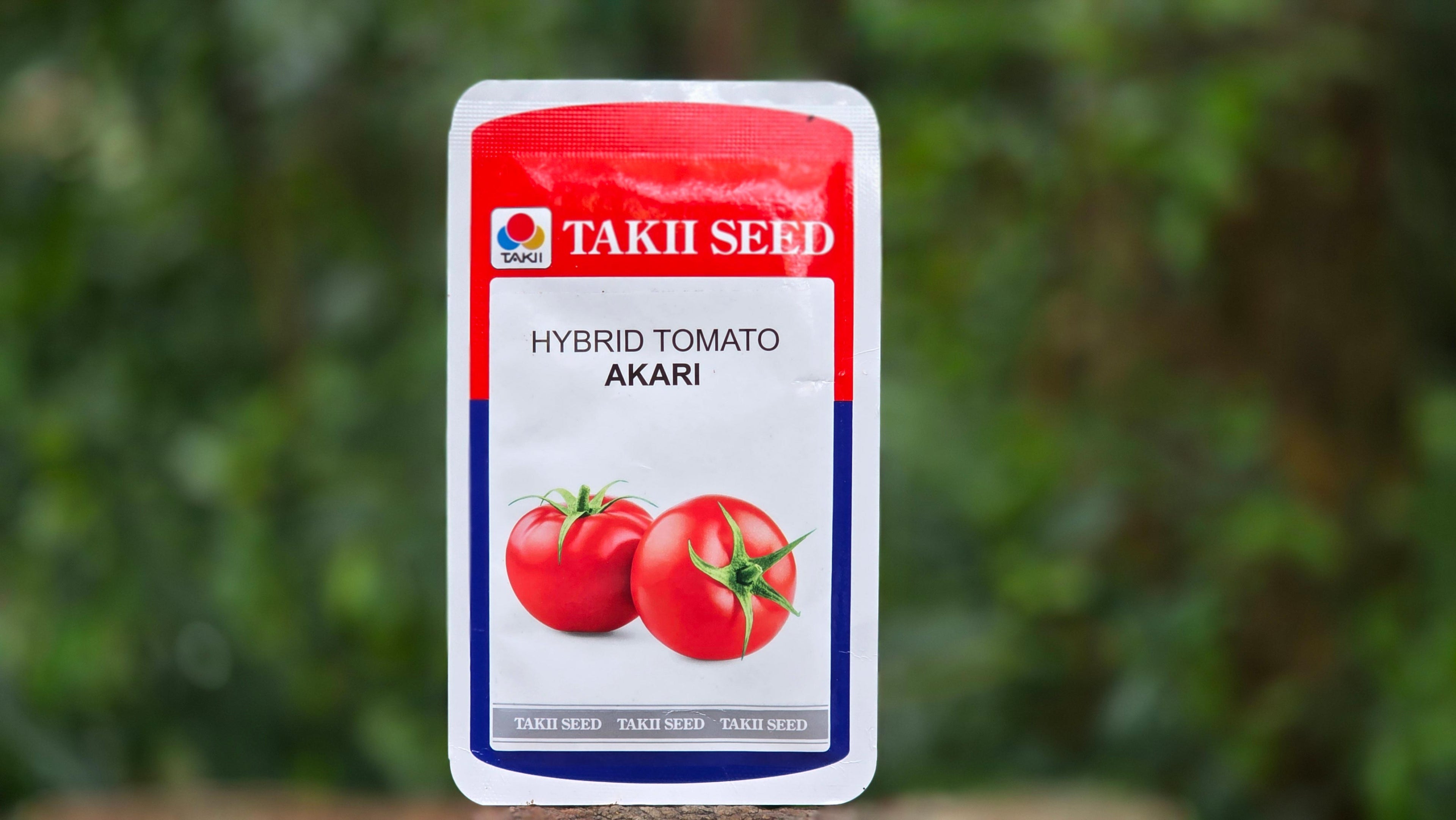 Takii Seed Akari Hybrid Tomato