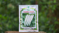 Somani Seedz F1 HY CROSS-X-35 Radish Seeds
