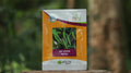 HyVeg Hot Pepper Aastha Seeds