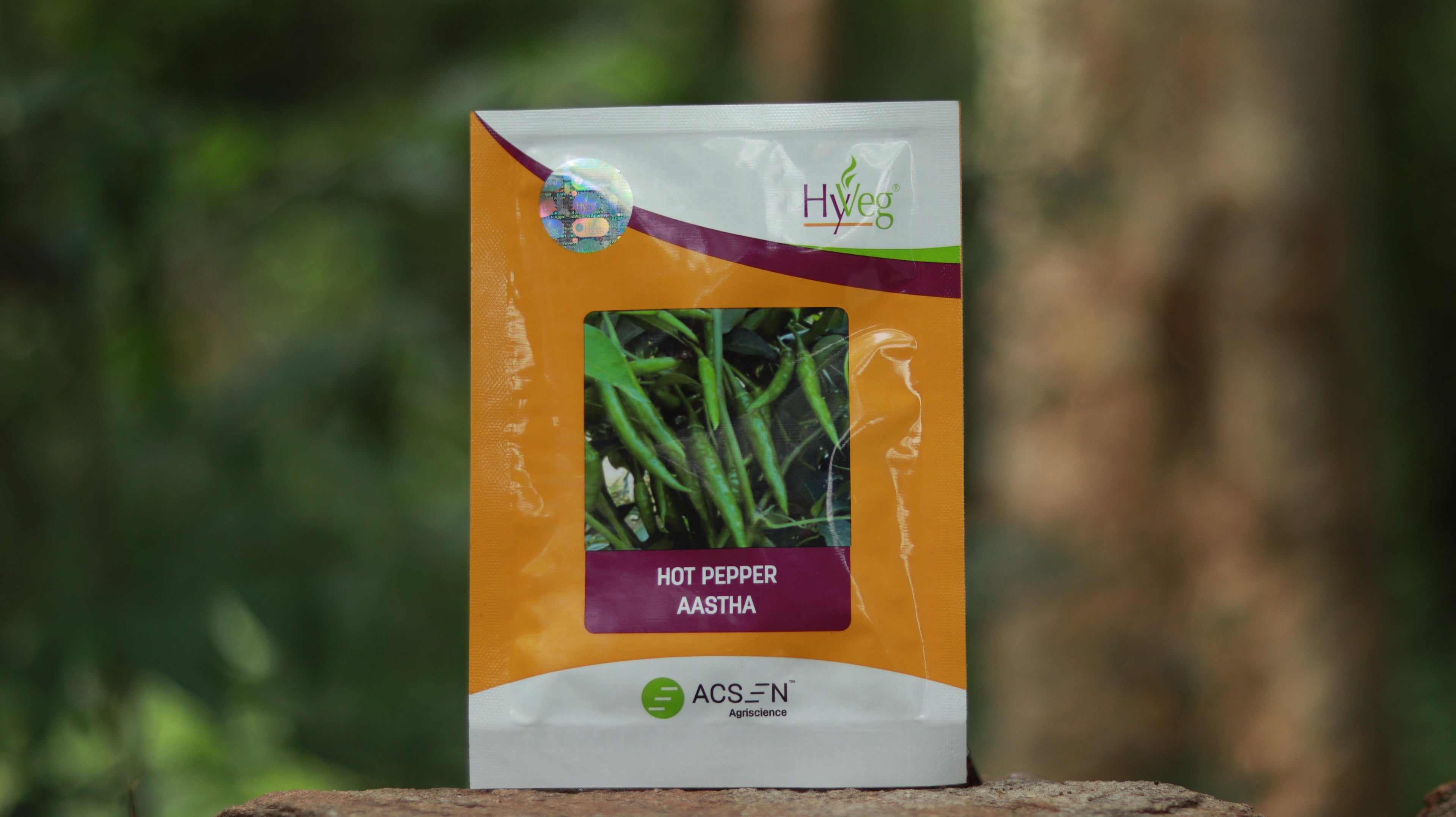 HyVeg Hot Pepper Aastha Seeds