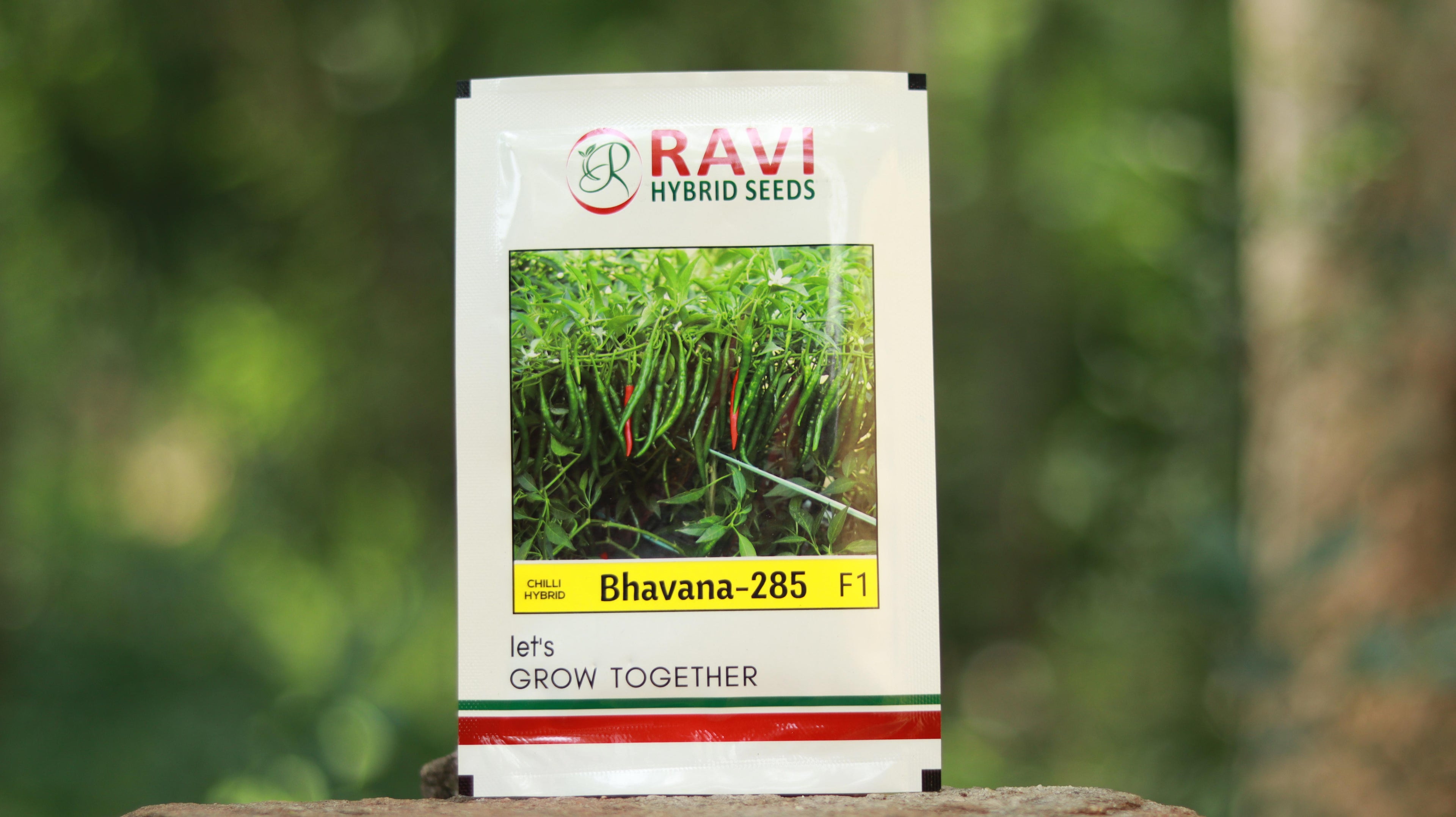 Ravi Hybrid Seeds Bhavana-285 F1 Chilli
