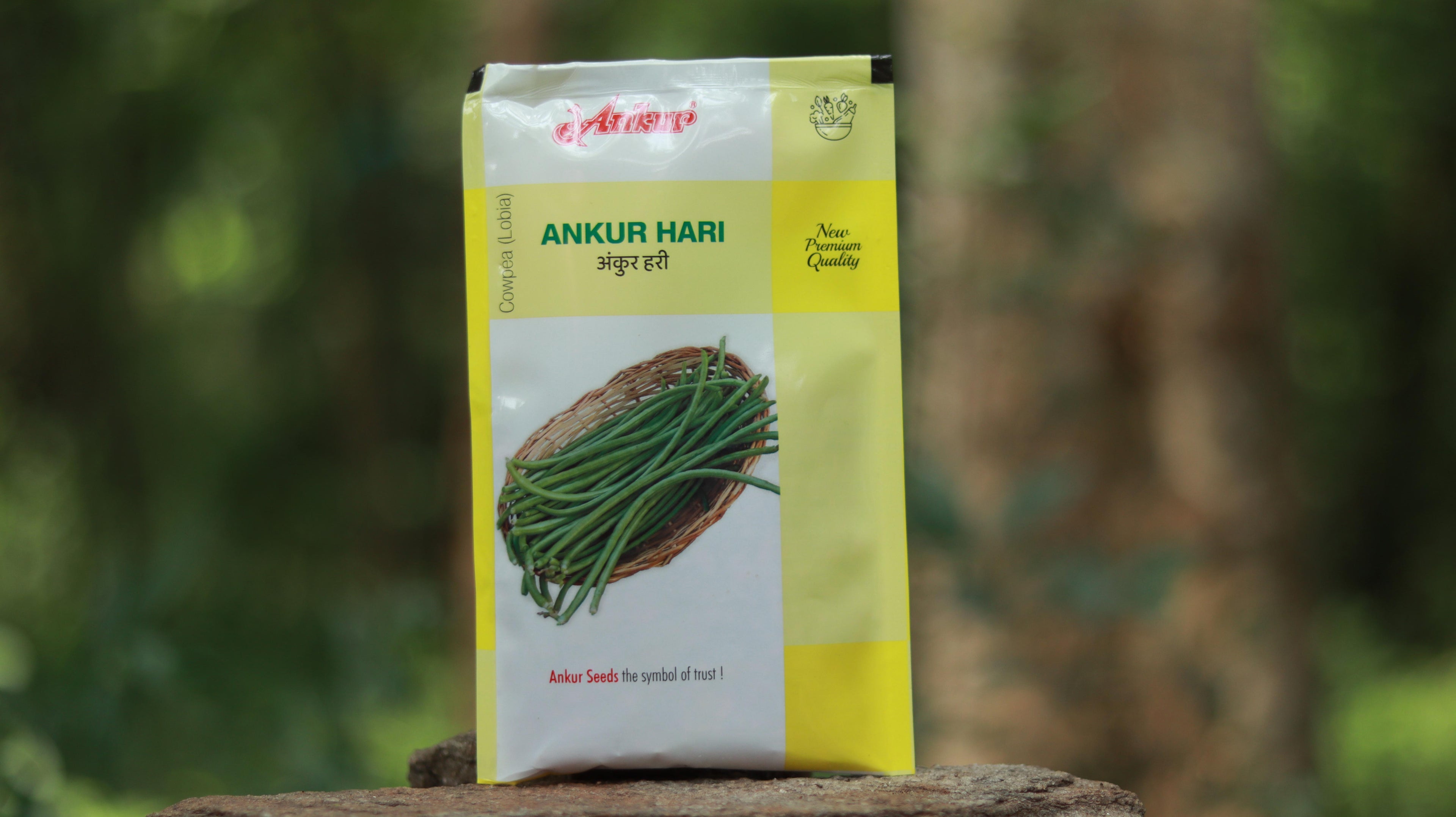 Ankur Hari Cowpea (Lobia) Seeds